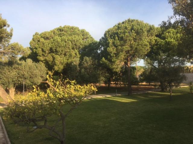 Villa Torrealta, 4000 M2 Cádiz Eksteriør bilde