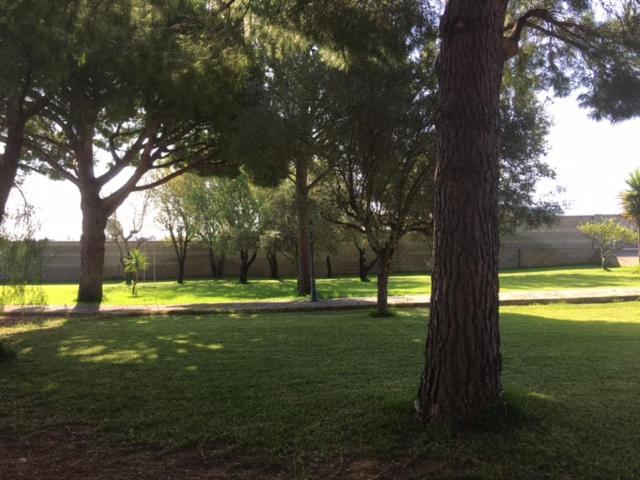 Villa Torrealta, 4000 M2 Cádiz Eksteriør bilde