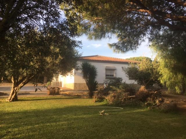 Villa Torrealta, 4000 M2 Cádiz Eksteriør bilde
