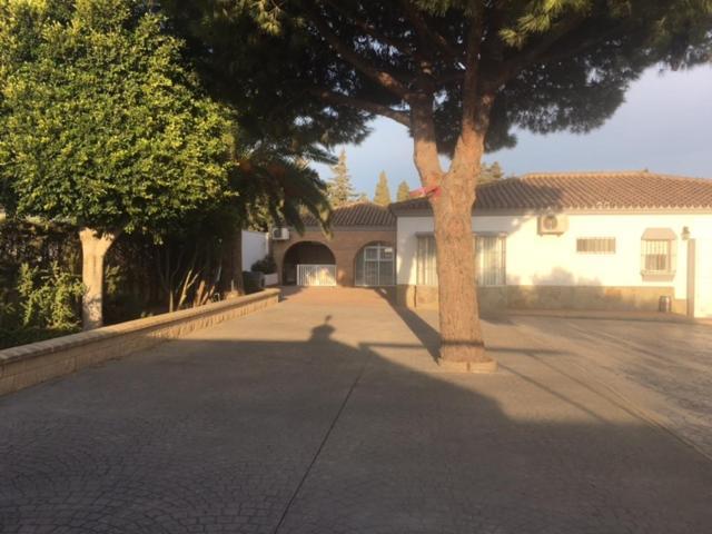Villa Torrealta, 4000 M2 Cádiz Eksteriør bilde